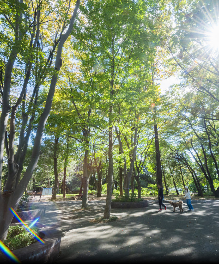 城北中央公園