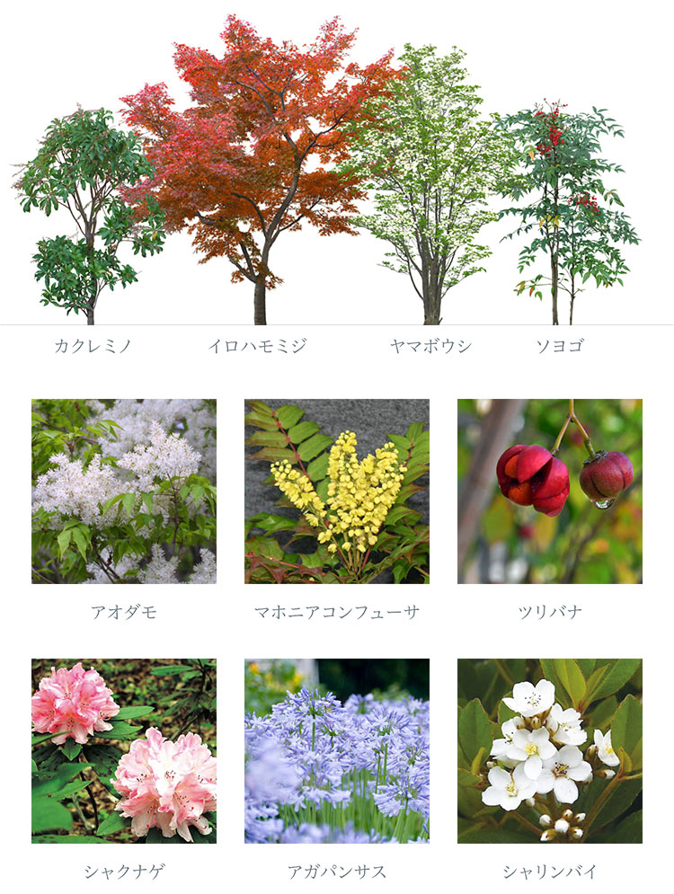 多種多様な植物