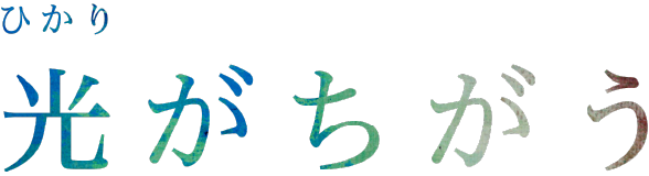 光がちがう