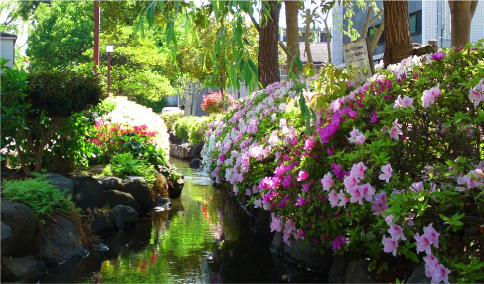 一之江境川親水公園