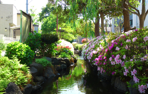 一之江境川親水公園
