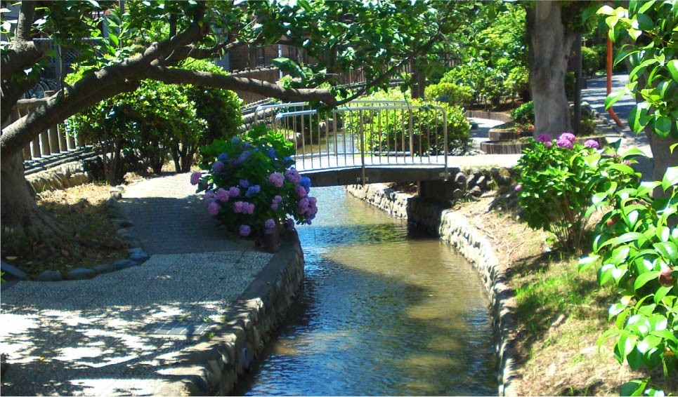 古川親水公園