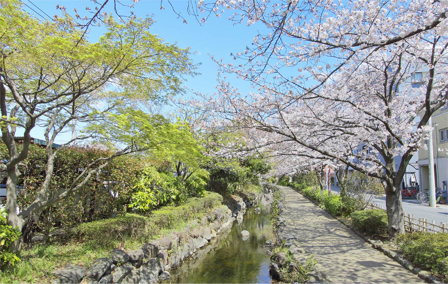 一之江境川親水公園