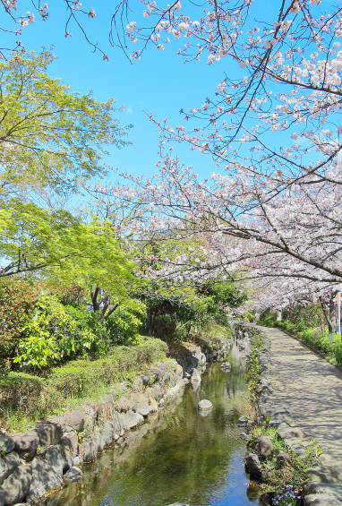 一之江境川親水公園