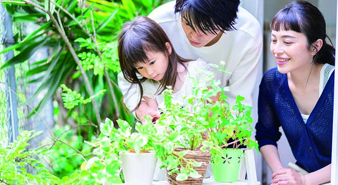 空を感じる暮らし