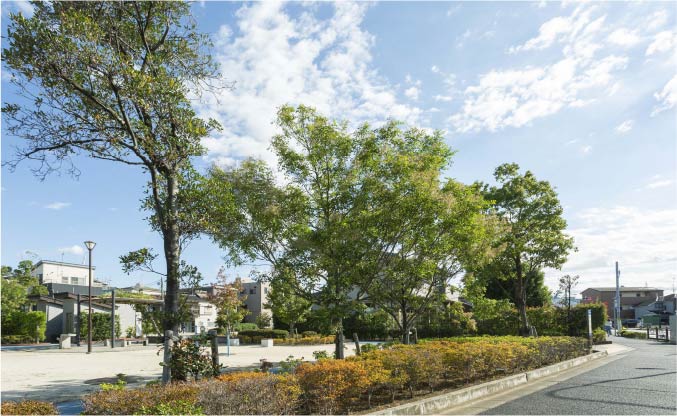 瑞江すずかぜ公園