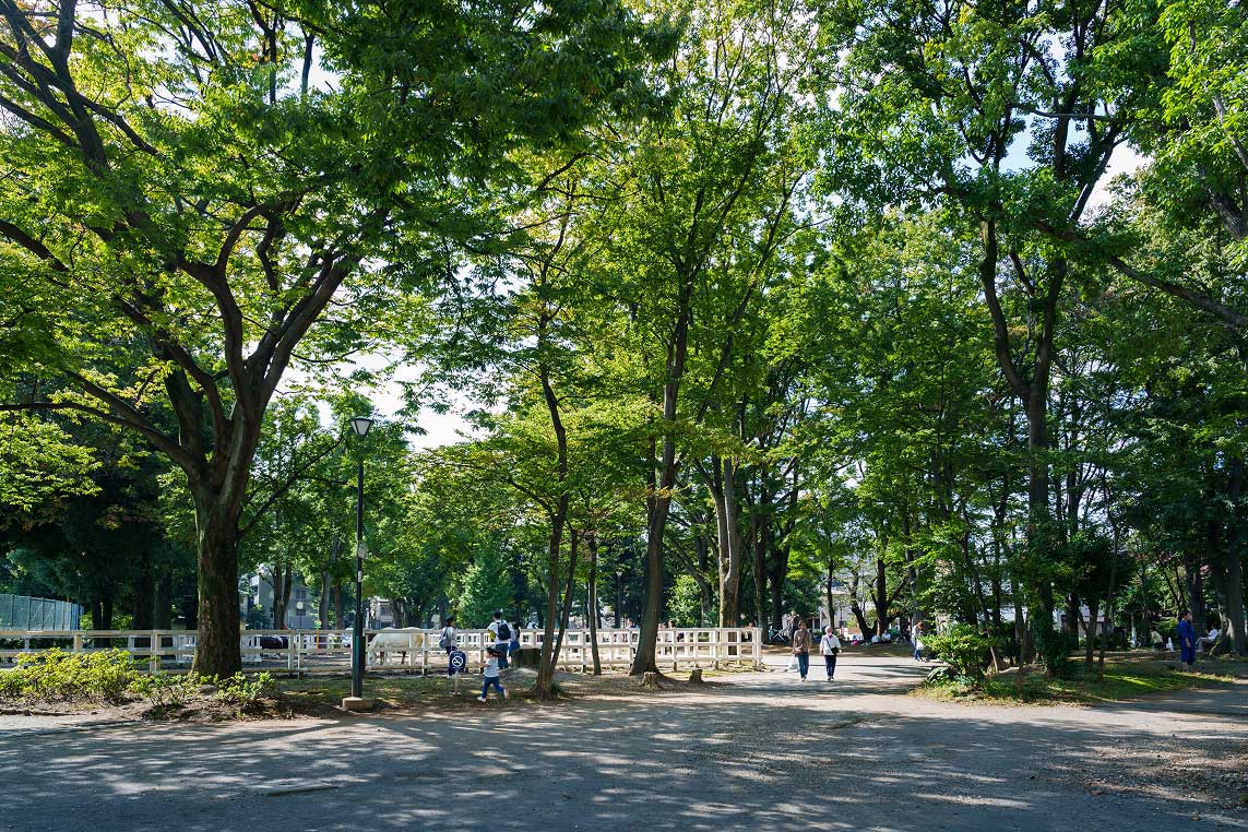 東板橋公園　約530ｍ・徒歩7分