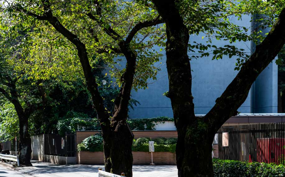 東京家政大学 　約540ｍ・徒歩7分