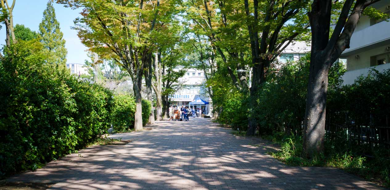 区立金沢小学校
									　約480ｍ・徒歩6分