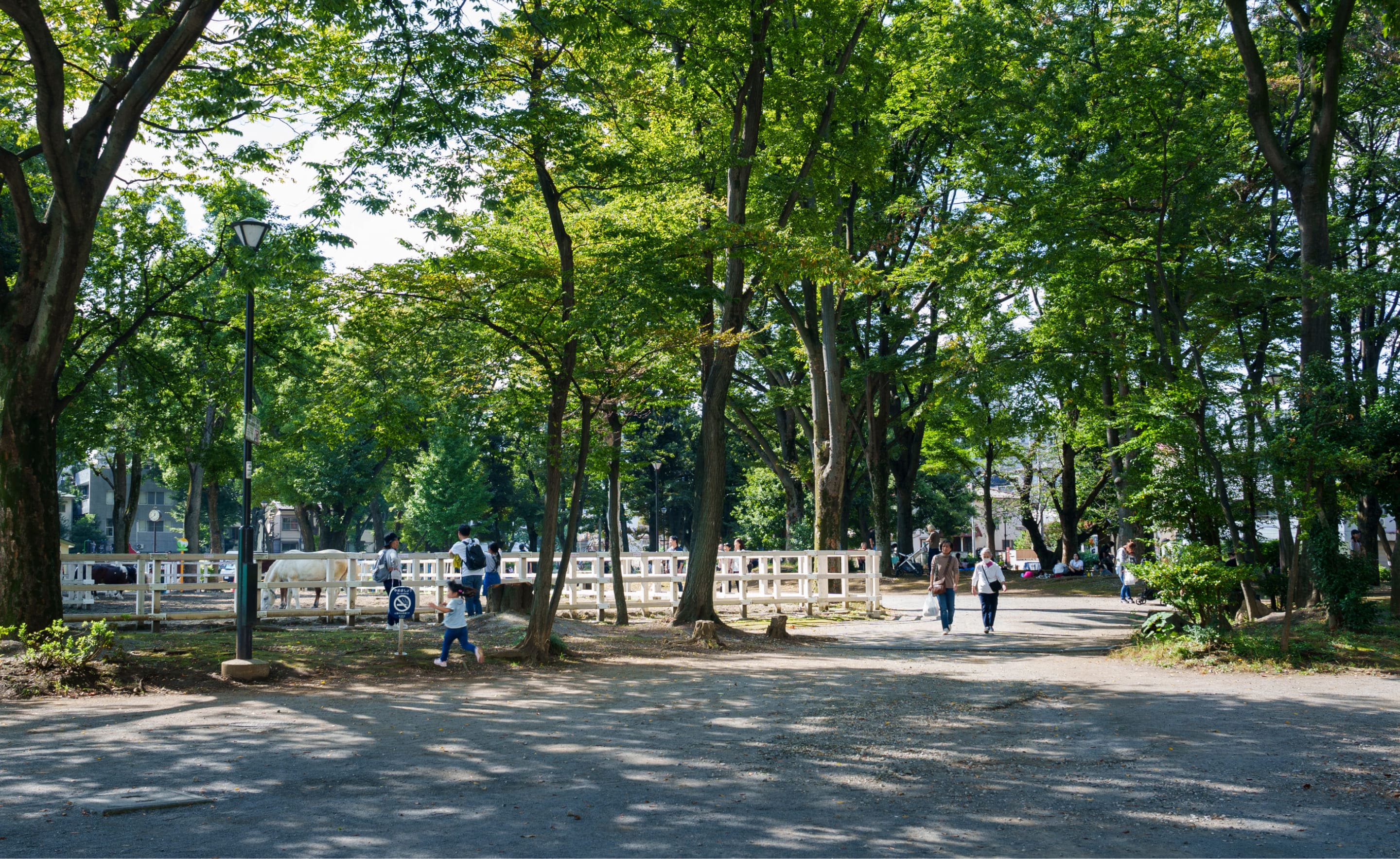 東板橋公園