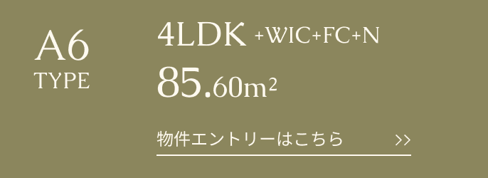 A6type