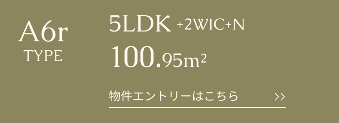 A6rtype