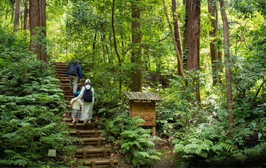 トトロの森（1号地）