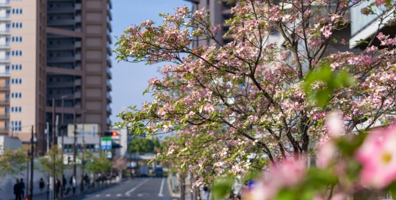 バウス所沢小手指タワー 駅徒歩4分