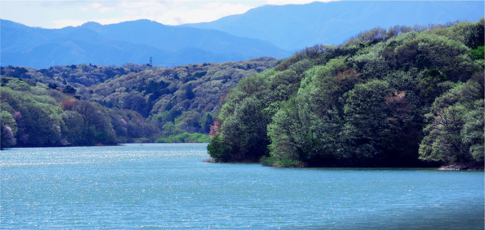 狭山湖（約4.3km）