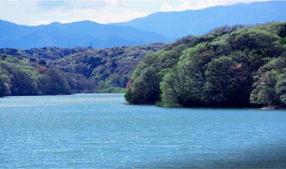 狭山湖