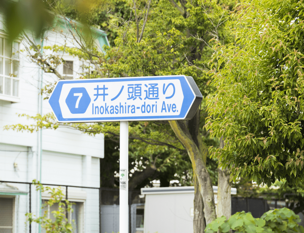 井ノ頭通り（徒歩1分／約80m：北側より）
