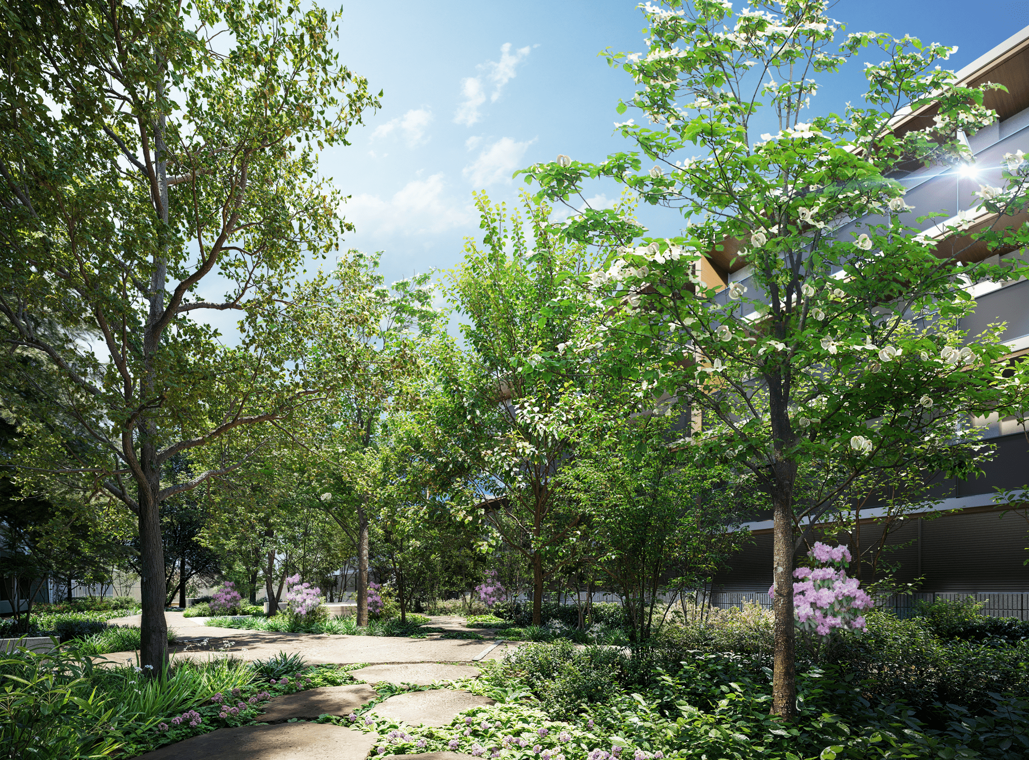 中庭完成予想CG