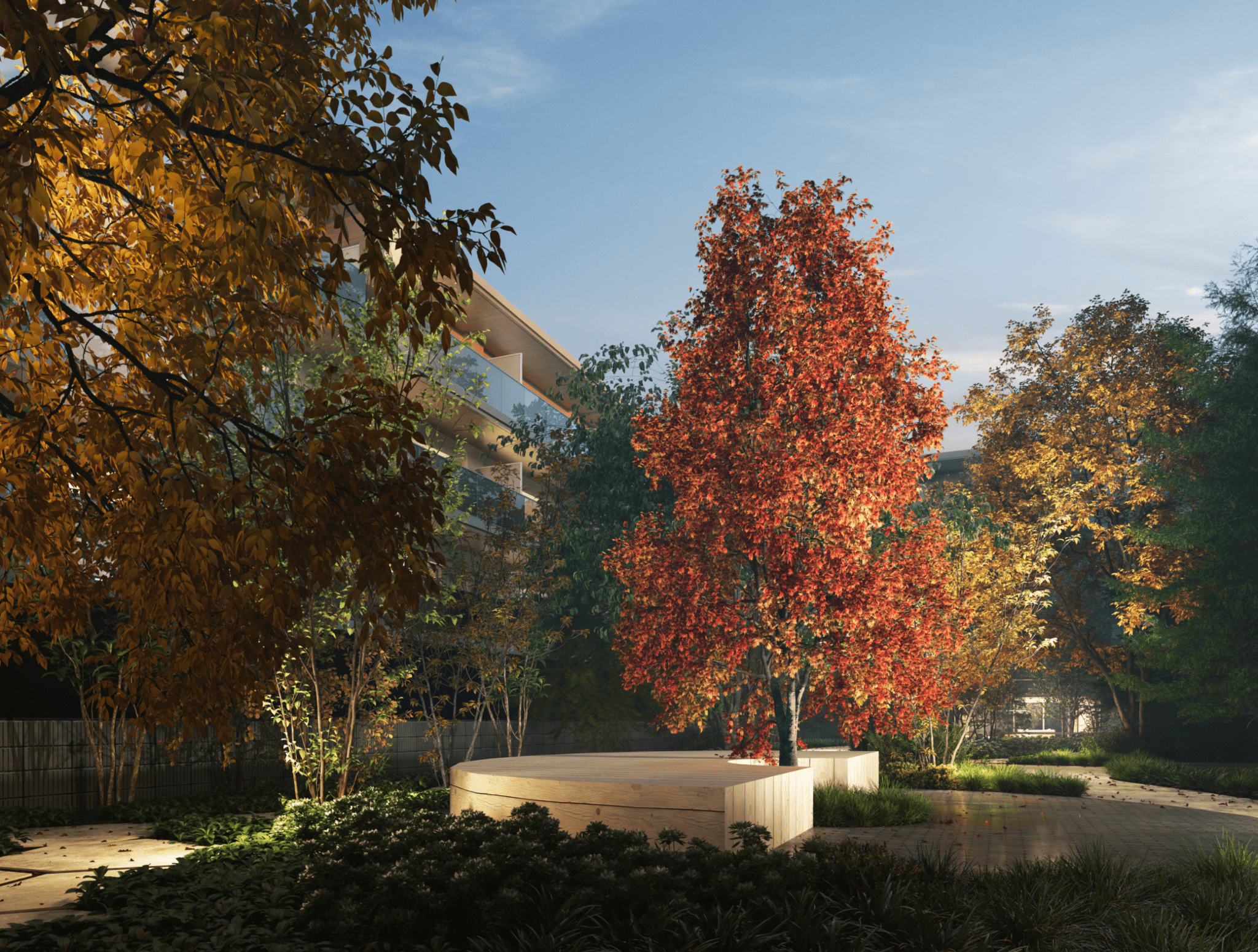 中庭完成予想CG