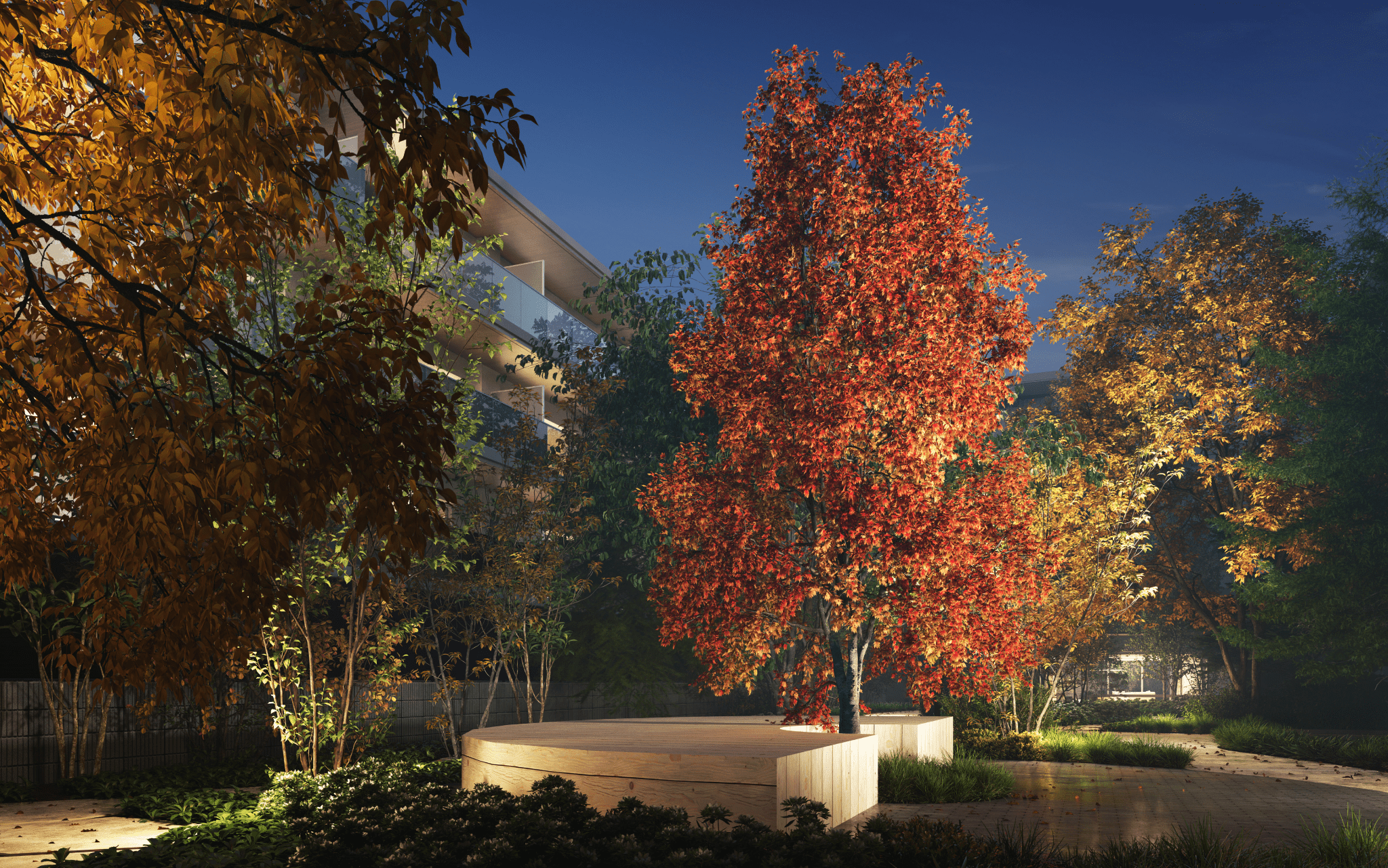 中庭完成予想CG