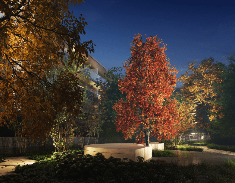 中庭完成予想CG