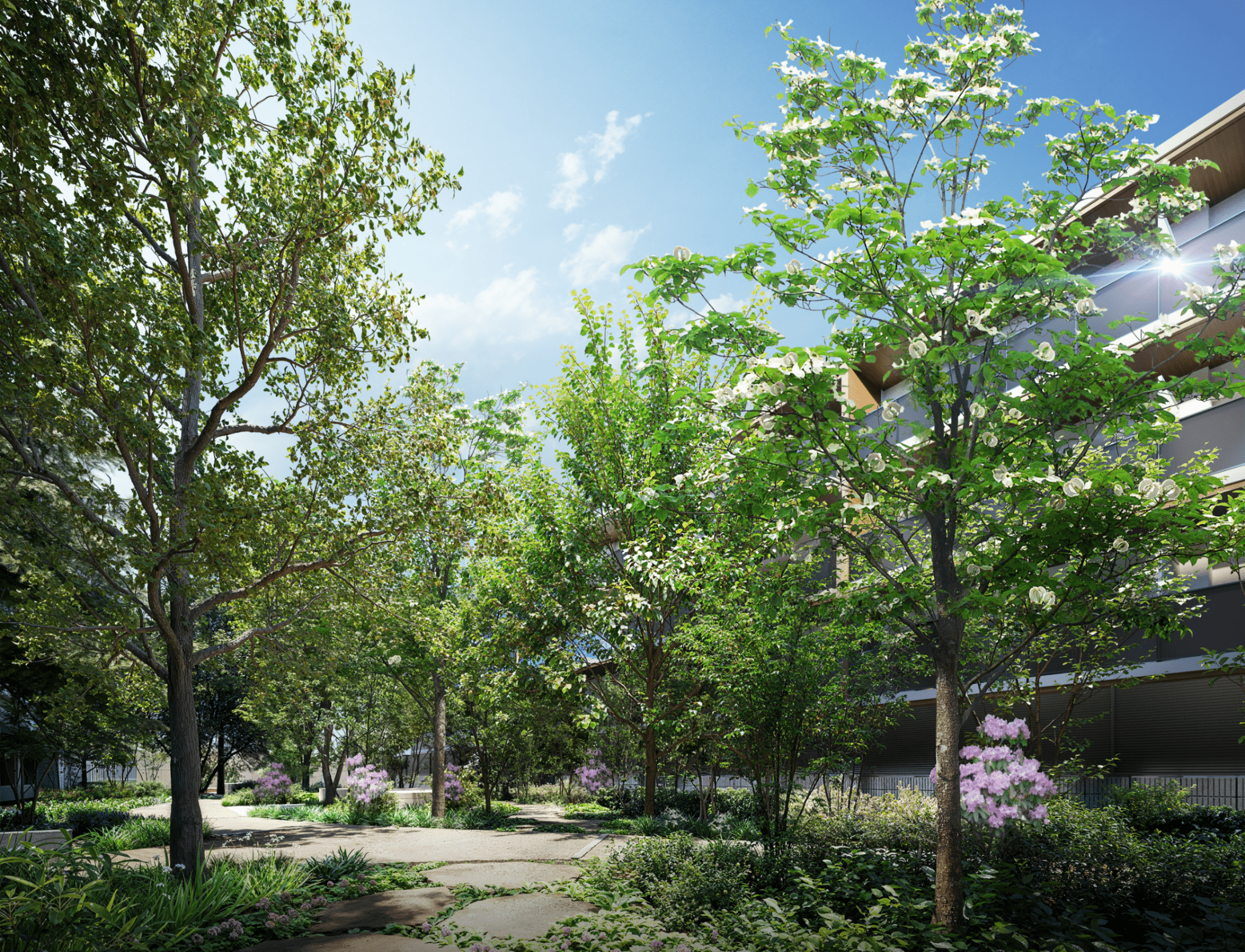 中庭完成予想CG