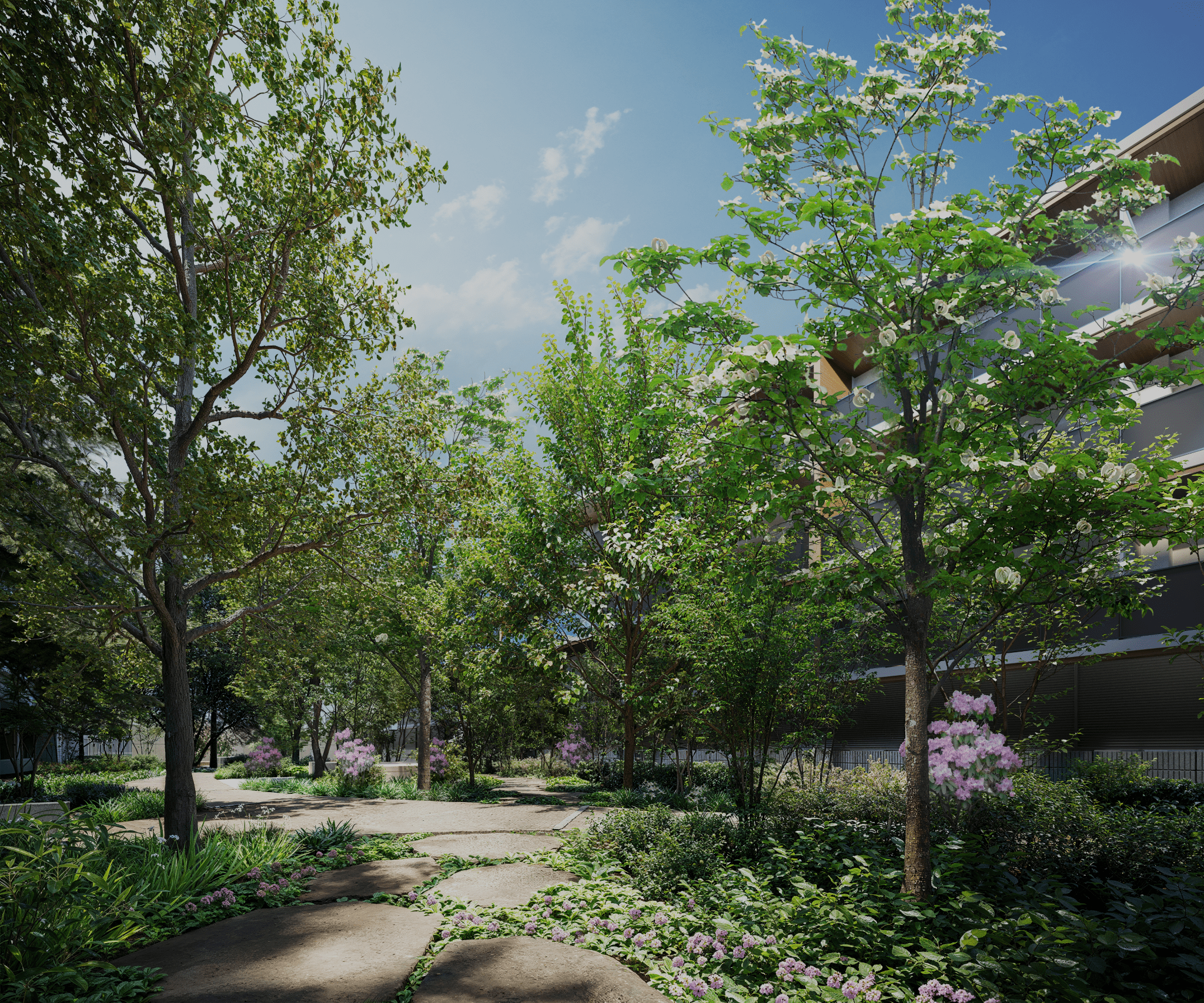 中庭完成予想CG