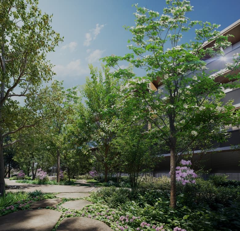 中庭完成予想CG