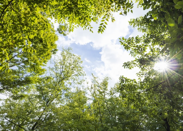 大宮前公園（徒歩8分／約590m：北側より）