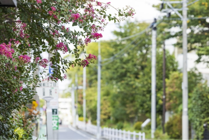 現地周辺の街並み（徒歩8分／約620m：北側より）