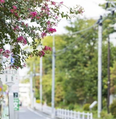 現地周辺の街並み（徒歩8分／約620m：北側より）