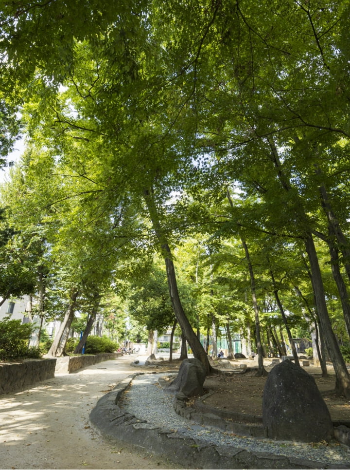 大宮前公園（徒歩8分／約590m：北側より）