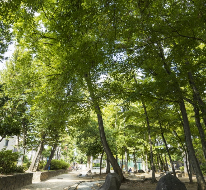 大宮前公園（徒歩8分／約590m：北側より）