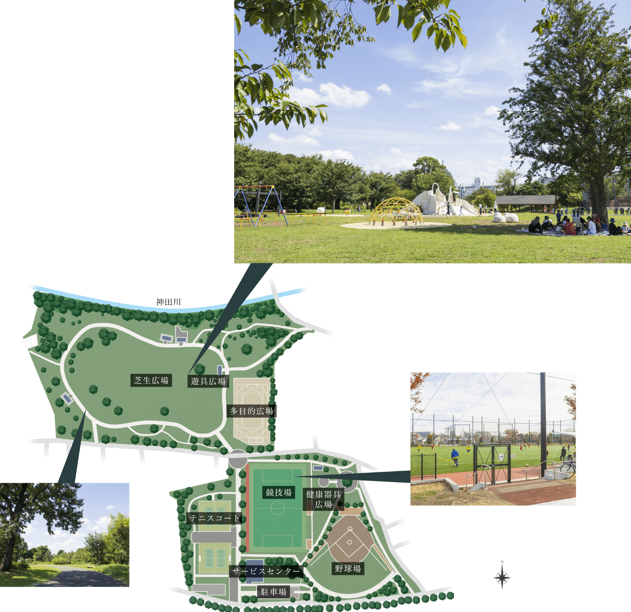 都立高井戸公園 園内概念図