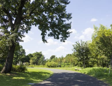 都立高井戸公園