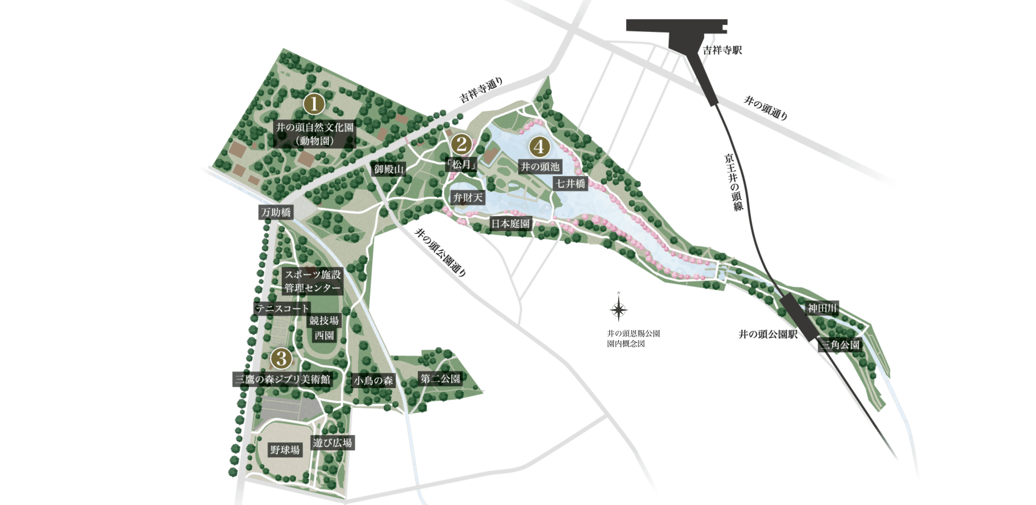 井の頭恩賜公園周辺の案内マップ。井の頭自然文化園、井の頭池、三鷹の森ジブリ美術館、園内飲食施設「松月」など主要スポットの位置関係を示した図