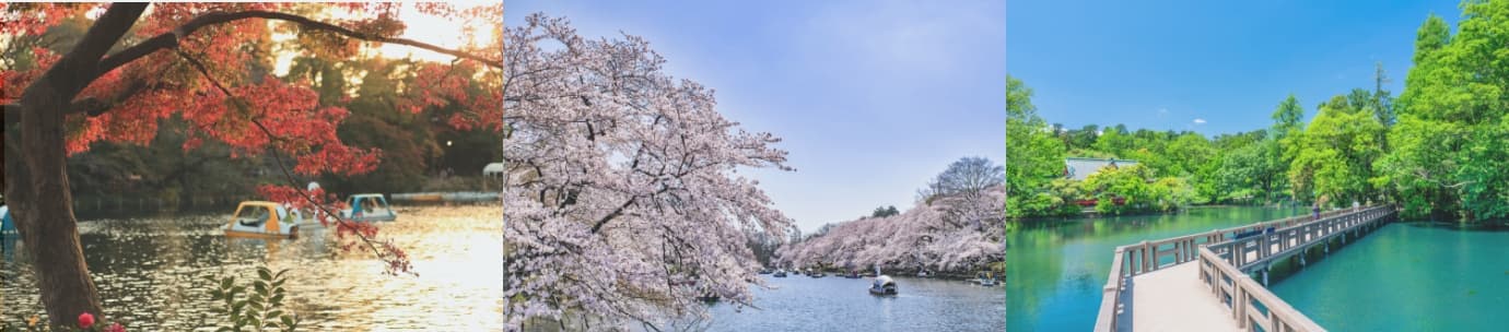 井の頭恩賜公園（約1,790m：南側より）　All Image Photo