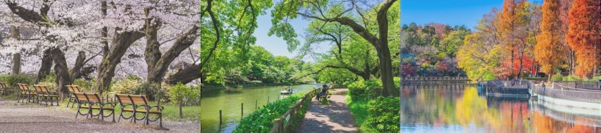 井の頭恩賜公園（約2,210m：南側より）　All Image Photo