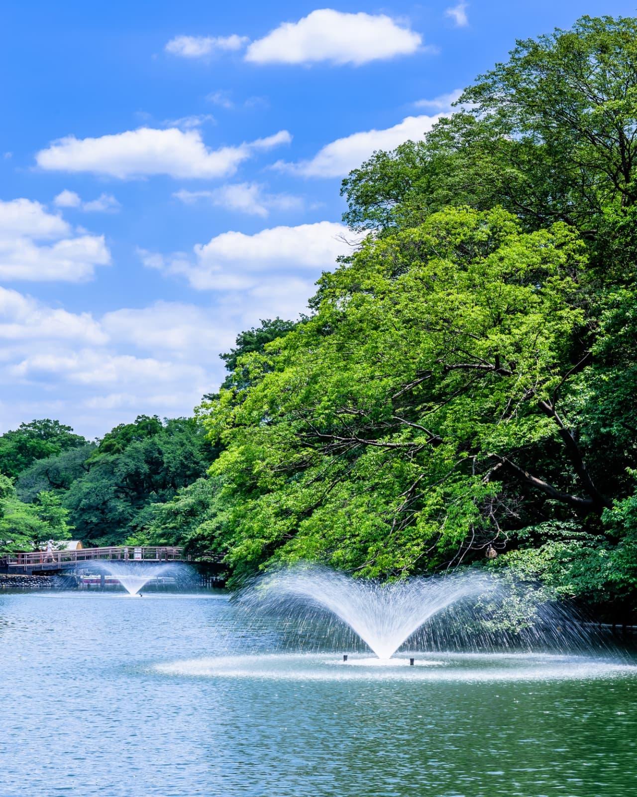 井の頭恩賜公園 Image Photo