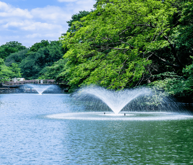 井の頭恩賜公園
