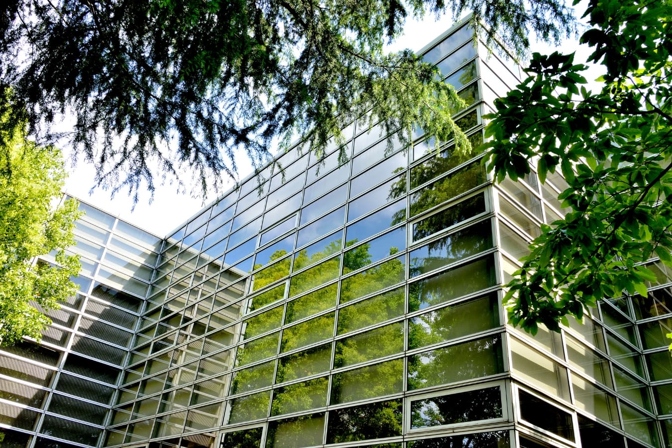 杉並区中央図書館