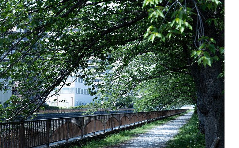 真間川沿い（徒歩18分）