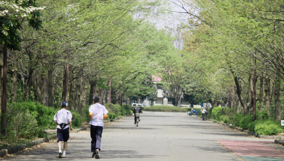 所沢航空記念公園