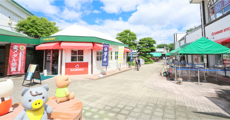 ハムやソーセージで有名な『SAIBOKU（豚のテーマパーク サイボク）』