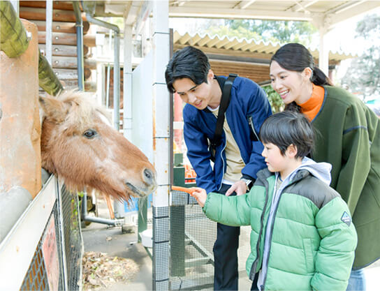 智光山公園 こども動物園（約4.17km）
