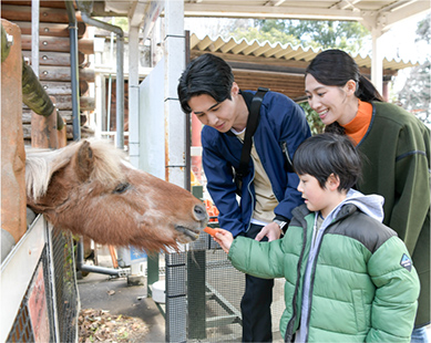 メッツァビレッジ（約11.4km）