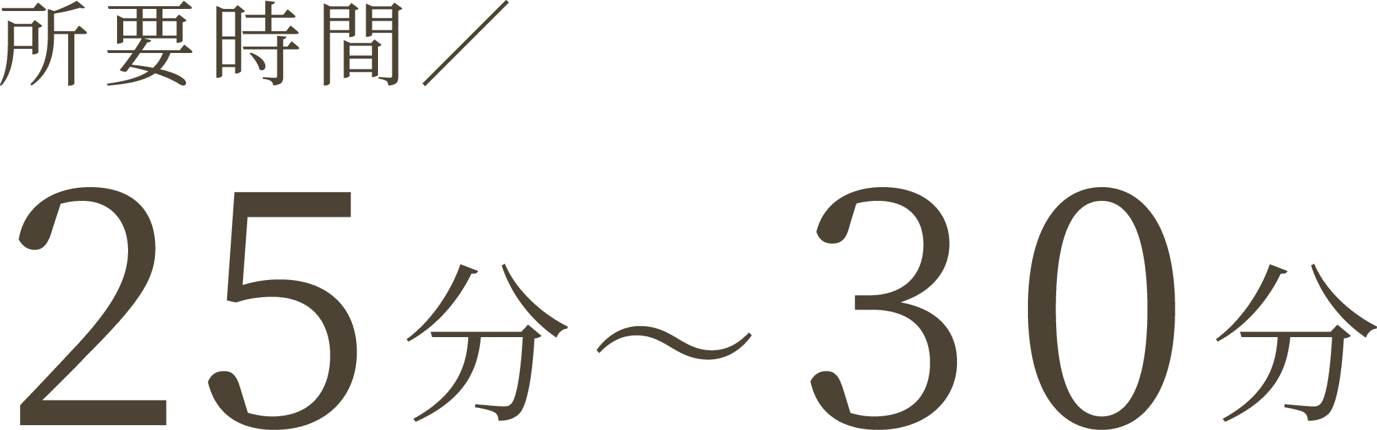 所用時間/25分～30分