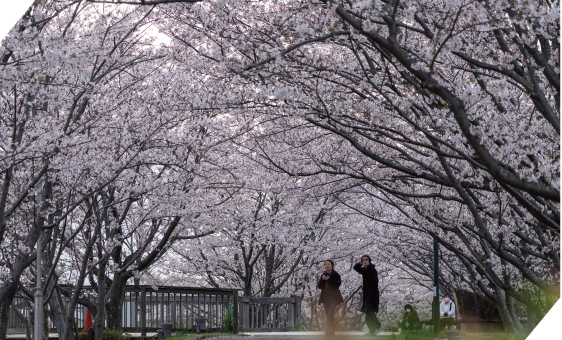 手賀沼親水広場 徒歩22分（約1,740m）