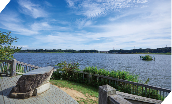 手賀沼親水広場 徒歩22分（約1,740m）