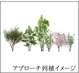 アプローチ列植イメージ